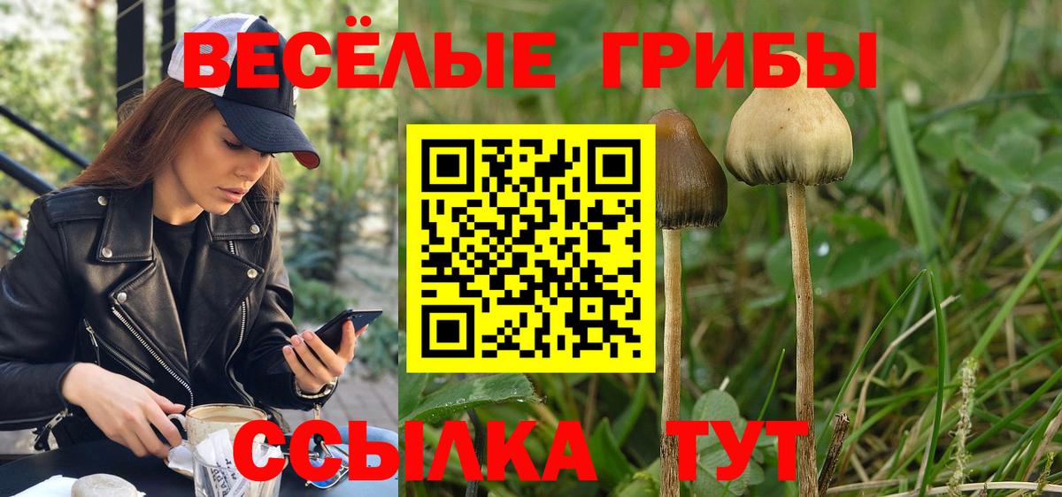 Псилоцибиновые грибы Magic Shrooms  Вход с VPN  Похвистнево  Галлюциногенные грибы Psilocybe 