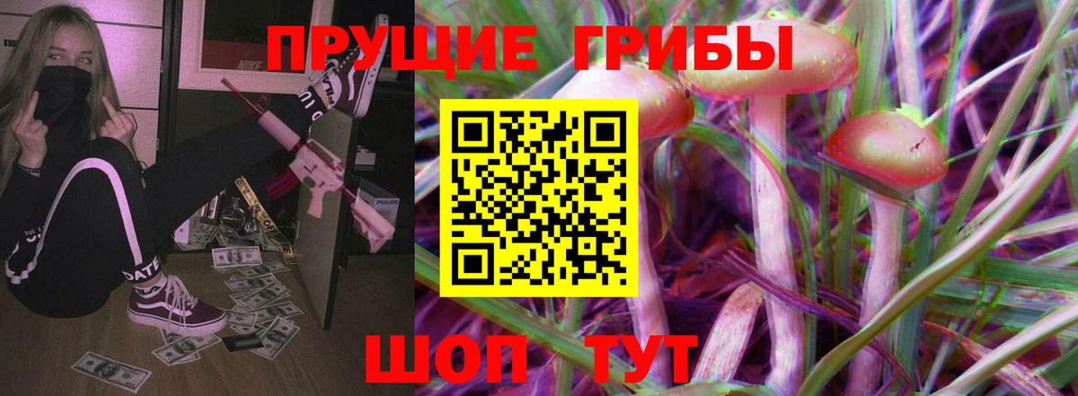 Галлюциногенные грибы Psilocybe Похвистнево